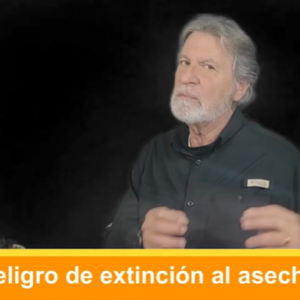 Peligro de extinción al asecho. Video Columna #102