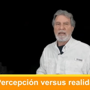 Percepción versus realidad Video columna #113