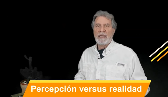 Percepción versus realidad Video columna #113