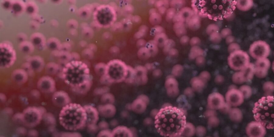 De rodillas ante una corona. Video columna #7