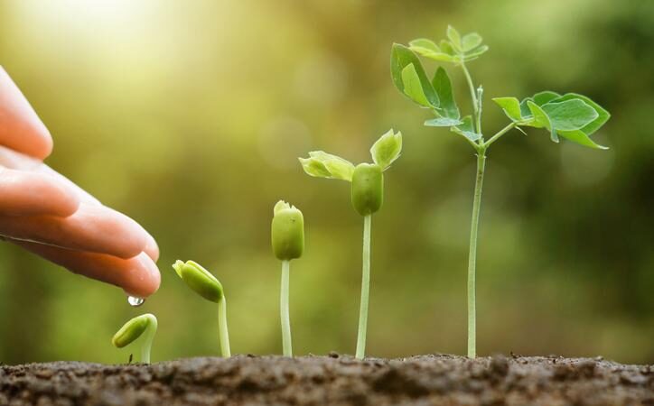 La gradualidad de las acciones es clave.