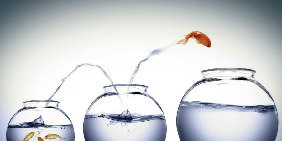 Reinventarse ese el reto. Video columna #15