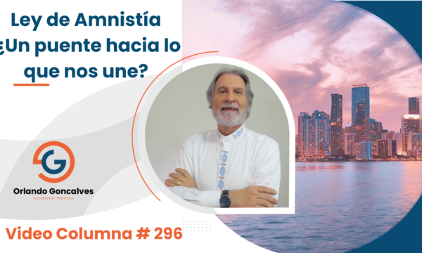 Ley de Amnistía ¿Un puente hacia lo que nos une?     Video Columna #296